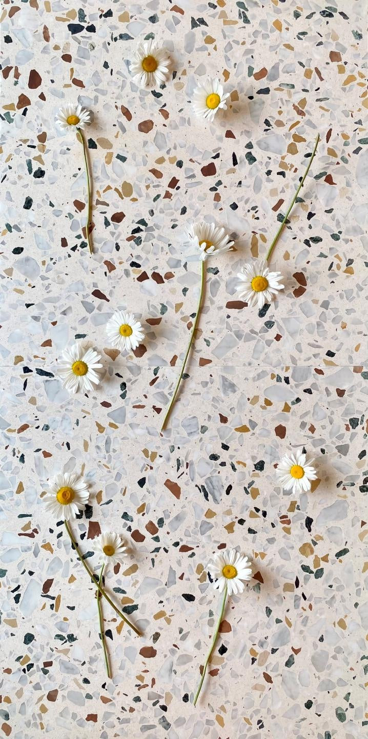 De Tegel BV Terrazzo Collezione Sassi Fenillia 60x60x2 cm, afname per tegel van 0,36 m²