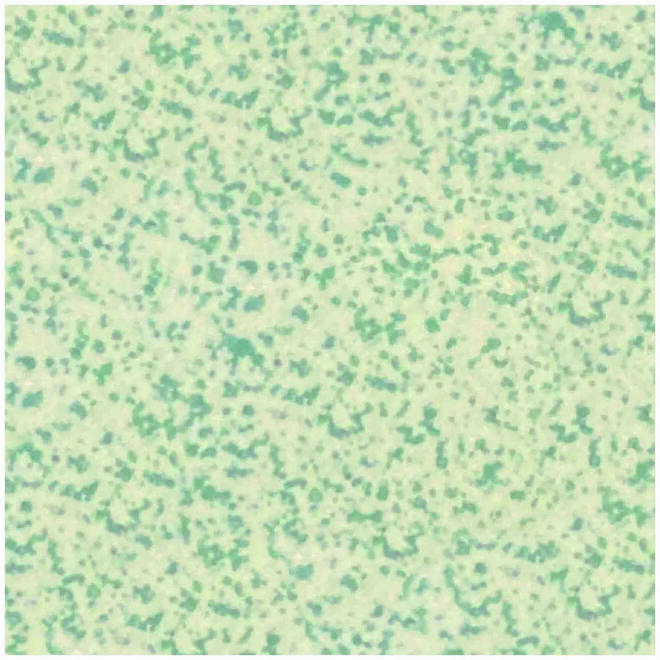 Winckelmans 209 speckled green 2x2 cm, afname per stuk