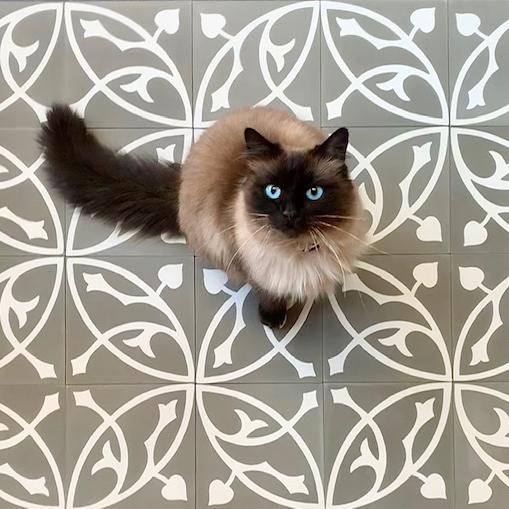 Cementtegel Patroon 
Circle 8383 20x20x1.6 cm a 0,48 m²