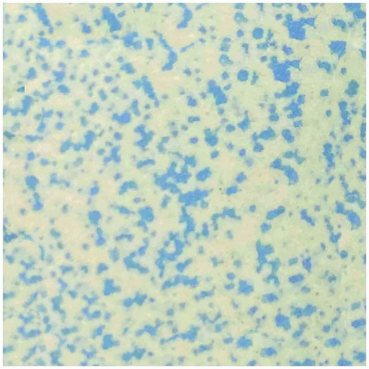 Winckelmans speckled blue 2x2 cm, afname per per stuk, per 50 stuks of per 100 stuks