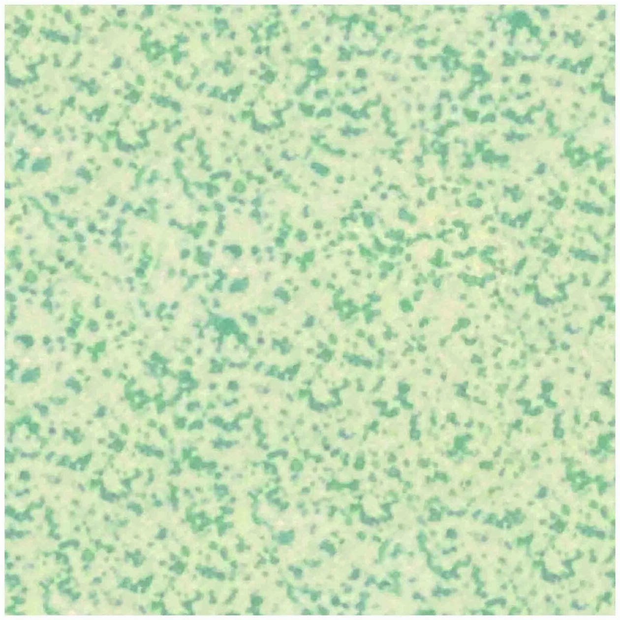 Winckelmans speckled green 2x2 cm, afname per per stuk, per 50 stuks of per 100 stuks