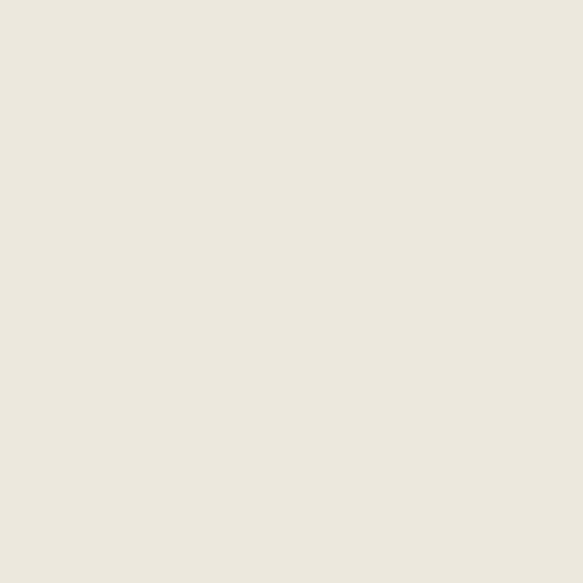 Winckelmans blanc 2x2 cm, afname per stuk