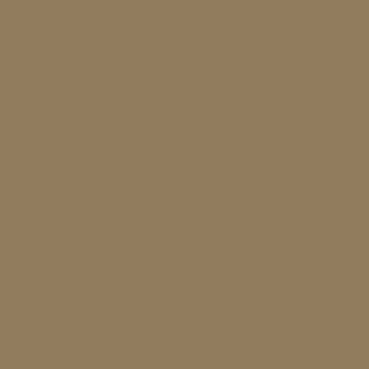 Winckelmans cafe 2x2 cm, afname per stuk