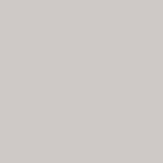 Winckelmans gris perle 2x2 cm, afname per stuk