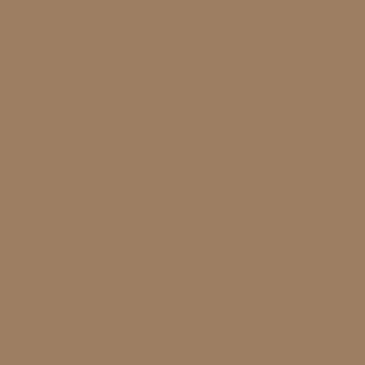 Winckelmans taupe 2x2 cm, afname per stuk