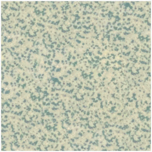 Winckelmans 209 speckled green 2x2 cm, afname per stuk
